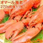 オマール海老 ロブスター 1尾 (BBQ バーベキュー)