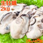 生牡蠣 2kg 生食用カキ（冷凍時1kg解