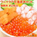 ウニイクラ甘海老丼セット(無添加生うに100g&いくら100g&甘海老200g) 単品おせち 海鮮おせち
