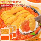 築地市場のウニイクラ丼セット(6杯分・無添加生ウニ300g&いくら醤油漬け300g)海鮮丼で約6杯分 単品おせち 海鮮おせち
