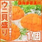 （ウニ うに 雲丹）うに貝盛り 40g（1個） 単品おせち 海鮮おせち