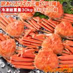 訳あり ズワイガニ 姿 合計30kg前後 50〜70尾 3kg×10箱 冷凍ゆでがに 本ズワイガニ ボイル冷凍 ズワイ蟹 ずわいがに かに カニ 蟹 ずわい蟹 豊洲市場