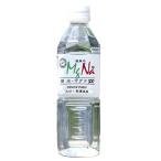 温泉水マグナ300 500ml 24本入 産地直送 現地よりメーカー直送でお届け 代引き不可 大分県竹田市長湯 国産温泉水 硬水