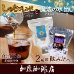しゃちブレンド水出しと魔法の水出し飲み比べセット/珈琲豆 加藤珈琲店