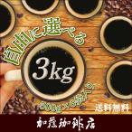 自由に選べる3kg(各500g) 送料無料 珈琲豆 粉 ギフト 加藤珈琲 スペシャルティ