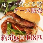 ¥±¡¼¥¹ ÈÎÇä ¥½¥Õ¥È¥·¥§¥ë¥¯¥é¥Ö ¥Û¥Æ¥ë¥µ¥¤¥ºÌó50¡ß18ɤ¡Ê1¥¥íÆþ¤ê¡Ë¡ß6¥Ñ¥Ã¥¯ ³ª ¤«¤Ë Á÷ÎÁ̵ÎÁ