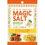 送料無料 エスビー食品 マジックソルトガーリック袋 20g×10袋 ネコポス