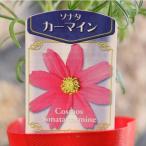  Cosmos машина мой n3 номер pot рассада осень Sakura .... цветок .