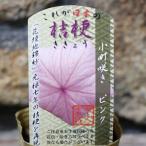 キキョウ江戸の桔梗花壇地錦抄小町咲...