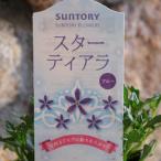 サントリー スターティアラ ブルー 3.5号ポット苗 ブルーファンフラワー スカエボラ 寄せ植え 鉢植え 花壇 お洒落 可愛い 春の花 夏の花 秋の花 花 苗 初心者