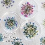 唯一無二の染色技術 押し花ネイル 押し花ネイルアート ドライフラワーネイル GRACE Dry Flowers レースフラワー
