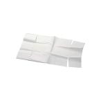 �^�C�K�[�N���E��(Tiger Crown) �P�[�L�^ �� 355*240mm �~���p�E���h�^1.0�җp �O���V���� �p�E���h�P�[�L�^ 569 30����