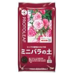  Pro to leaf мини роза. земля 2L