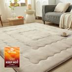 VK LIVING котацу матрас футон очень толстый ковер прямоугольный 190*240cm KEEP HOT 2 -слойный . чувство 5 слой структура фланель ковер бежевый 
