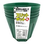  Watanabe . разрез pot 5 штук круг 10.5cm внешние размеры 105* низ размер 75* высота 90mm moss green pra горшок выращивание рассады pot земля ... сделал час. корень. . такой же положение дел . осуществление делать разрез обработка 