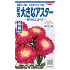 sakata. tane реальный . цветок цветок. большой астер ...XL rose 