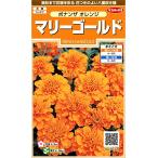 sakata. tane реальный . цветок 7632 Marie Gold bo наан The orange 00907632
