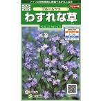 sakata. tane реальный . цветок 6900 незабудка Bloom tsu00906900