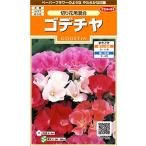 sakata. tane реальный . цветок 7190gotechiya срезанные цветы для смешивание 00907190