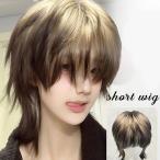  парик Short Wolf cut природа полный парик ike men мужчина оборудование сетка высокий свет женский мужской для мужчин и женщин парик костюмированная игра обычно используя маленький лицо жаростойкий 