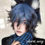  парик Short Wolf природа полный парик ike men мужчина оборудование сетка V серия . рука . костюмированная игра женский для мужчин и женщин парик маленький лицо жаростойкий ike men блокировка болезнь ...