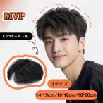  верх деталь парик мужской короткий . наматывать шерсть природа человек шерсть парик мужской модный жаростойкий парик медицинская помощь для повседневный для верх для установка шерсть волосы деталь природа . завершение 