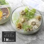  aroma воск чашка Петри ( саше ) ручная работа комплект материалы для цветочной композиции 6 вид натуральный / aroma sa доля roma украшение Work магазин Event подарок подарок 