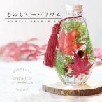  клен гербарий комплект раунд бутылка осень популярный консервированный цветок конструкция person материал Work магазин Event конструктор подарок День почитания пожилых людей конструктор 