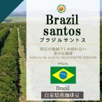 自家焙煎コーヒー豆 選択可 ブラジル・ブラジルサントス  200g　