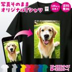 オリジナルTシャツ オリジナルプリントTシャツ 半袖 メンズ レディース 大きいサイズ オーダーメイド チームオーダー 母の日 父の日 プレゼント ギフト 送料無料