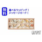 gla накладка wild Wild Испания Гримм s[ стандартный импортные товары ] Испания Гримм s