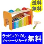 HAPE パウンド アンド タップベンチ ハンマートイ　たたくおもちゃ　鉄琴　１歳誕生日　１歳おもちゃ　はぺ　お誕生日プレゼント 出産お祝い hape ハペ