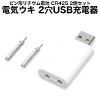 2穴充電 電気ウキ USB充電器 CR425 リチウム電池 セット ピン形充電 釣り フロート