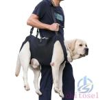  уход . собака уход для товары для ухода уход для Harness собака приспособление для ходьбы Harness домашнее животное zonchi- Harness уход сопутствующие товары маленький размер собака средний собака большой собака . собака . применение товары для домашних животных домашнее животное товары 