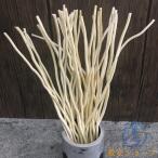  диффузор палочка 25cm 100 шт. комплект ротанг палочка .. ветка производства zonchi- натуральное дерево бездымный aroma Sera pi- легкий в использовании применение широкий . удобный практический удобный 