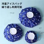 アイスバッグ 製氷ケース付き 2点セット 氷嚢 アイシング 氷のう 子供 足首 広口 大人 大型 ioso 小型 サポータ サッカー 日常使い 通勤 通学 お出かけ 快適