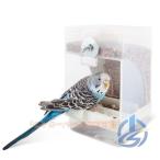  bird механизм подачи птица приманка inserting автоматика маленькая птица столик для птиц посуда длиннохвостый попугай автокормушка автоматика поилка ioso попугай вода inserting .. inserting .... птица. столик для птиц легкий в использовании удобный повседневный используя 
