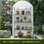 小型 温室棚 園芸 温室フラワーラック 家庭用 家庭菜園 PE素材 温室 ビニールハウス ioso 4段 巻き上げ式 農業 栽培 野菜 植木鉢 植物 花 整理整頓 省スペース