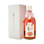 梅酒 萬歳楽 加賀梅酒 