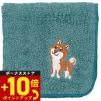 阪急ハロードッグオーガニックコット...