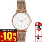 スカーゲン SKAGEN 腕時計 レディース SKW2784