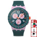 swatch スウォッチ 腕時計 メンズ レ