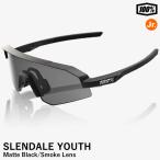 【即日発送可】100%(ワンハンドレッド) 60066-00003 SLENDALE YOUTH Matte Black/Smoke Lens スレンデールユース ジュニア用サングラス キッズ向け XS 女性