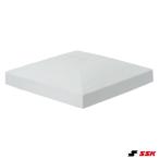 es SK (SSK) YM700BR лампочка место для . основа верхняя часть только 1 листов официальный стандарт товар металлические принадлежности нет бейсбол 