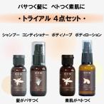  пробный комплект [ бесплатная доставка ][ путешествие комплект ] шампунь кондиционер корпус woshu корпус лосьон 