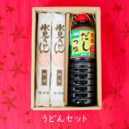 氷見うどん ギフトセット ボックス入 細麺 200g×4本 寿がきや だしつゆ 海津屋 贈り物 手土産 お中元 内祝い お歳暮 お中元 御年賀 ご挨拶 ギフト プレゼント