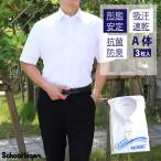 学生服 ワイシャツ 半袖 男子 A体(標準) 3枚入 スクールタイガー 学生 Yシャツ カッターシャツ 白 ノーアイロン 形態安定 抗菌防臭 高校生 中学生