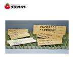 ペーパーポット No.10 紙製育苗用連結ポット 日本甜菜製糖