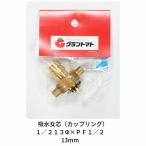 . вода женщина сердцевина 1/2 13Φ×PF1/2 насос для соединительная муфта 