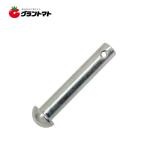 TRピン(2P) 10ｘ50